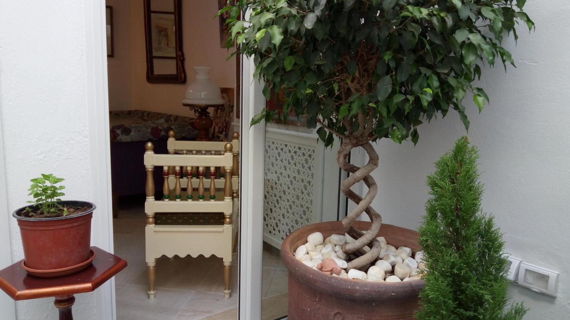 El Patio Courtyard House Tunes Exterior foto